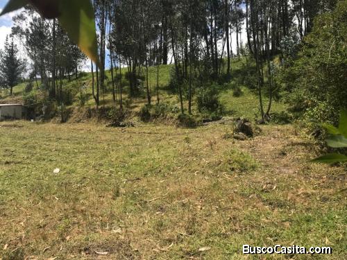 Tres lotes en zona urbana de Sangolqui