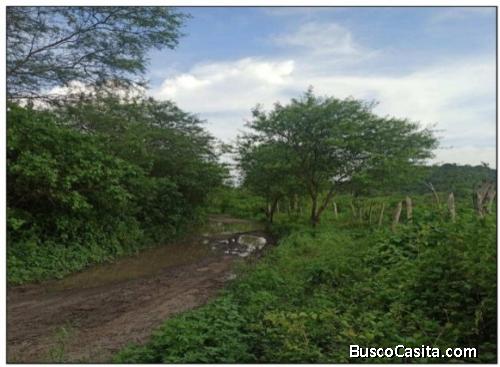 TERRENO VÍA CANOA JAMA