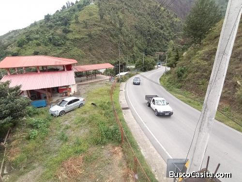 EN VENTA PROPIEDAD COMPUESTA DE 4 PREDIOS EN RUMIZHITANA, MALACATOS, LOJA