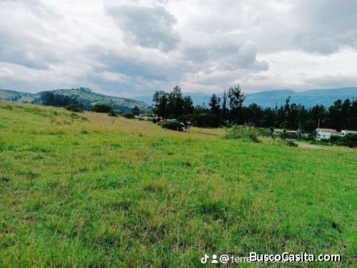 LOTES DE 1000, 1100 Y 1260 m2