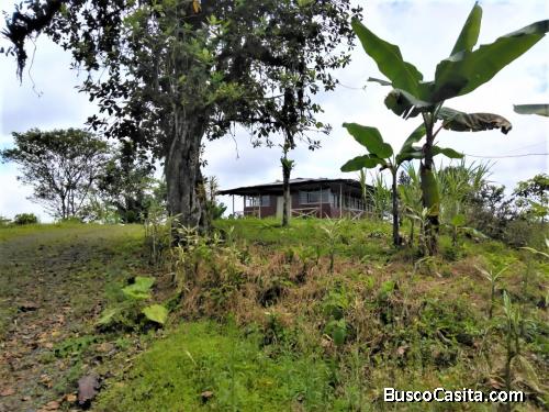 VENDO HACIENDA 9,6 HAS, VÍA SAN MIGUEL DE LOS BANCOS-PEDRO VICENTE MALDONADO