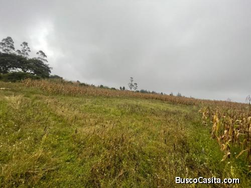 DE VENTA HERMOSO TERRENO SECTOR TANGUARIN-IMBABURA 