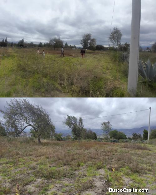 Venta de lote 
