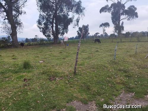 TERRENO DE 1114 m2 