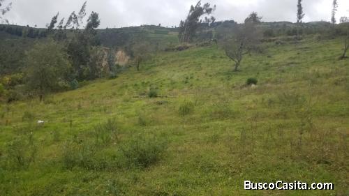 VENDO Terreno De Una Hectárea En La Parte Baja De Quimiag, Riobamba, Chimborazo