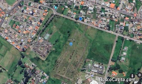 ¡Crea tu oasis en medio del bullicio urbano!