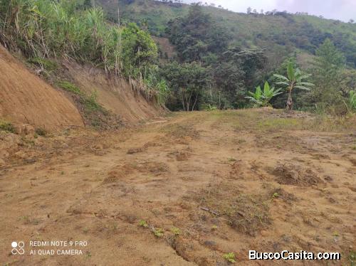 Venta de terreno en el campo