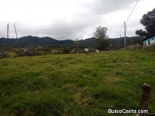 Se vende terreno con alta rentabilidad. Plano