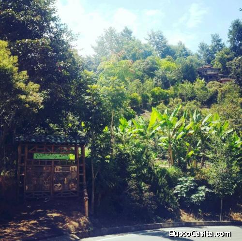 ¡ OPORTUNIDAD ! VENTA DE HERMOSO TERRENO 5.000M2 COTACACHI-ZONA DE INTAG