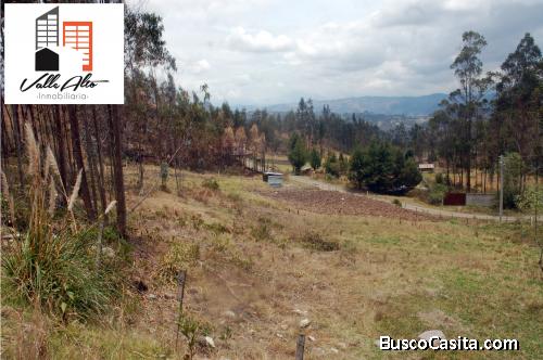 TERRENO AMPLIO EN HORNAPALA. 