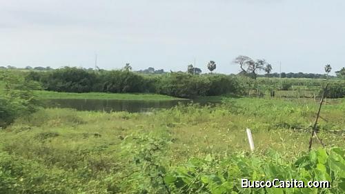 TERRENO EN BOCA CAÑA GUAYAS, SAMBORONDON, ECUADOR