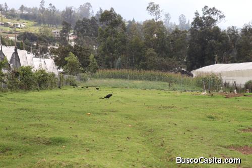VENTA TERRENO EL QUINCHE