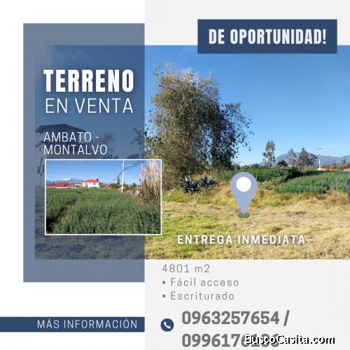 DE OPORTUNIDAD!