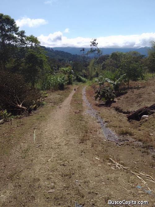 Vendo Finca de 32 Hectareas, Poblado Cielo Verde