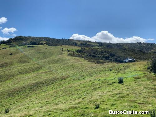Vendo propiedad de 180 Ha en Imbabura, sector Huairapungo, vía Intag