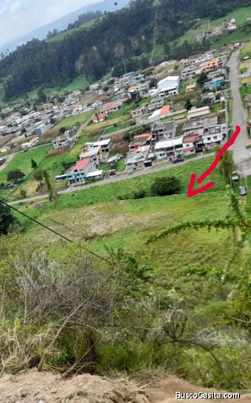 EN EL SECTOR DE SANGOLQUI VENDO LINDO TERRENO DE UNA HECTARIA