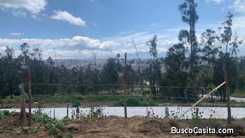 Terreno en venta Urbanizaciòn Camino de los Eucaliptos Cuarta Etapa Carcelèn