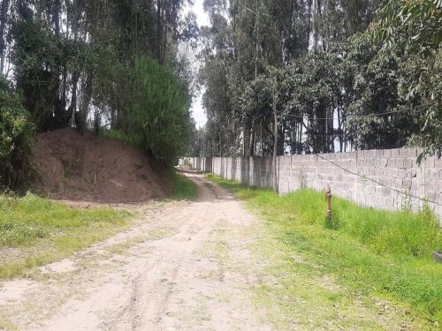 Terreno aterrazado en venta, sector la Merced, 2 hectáreas, todos los servicios  