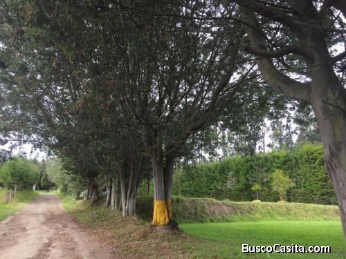 VENDO HERMOSO TERRENO