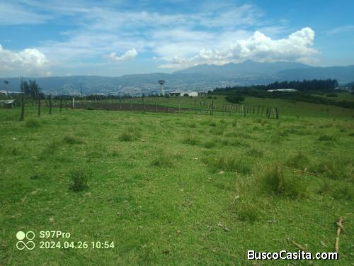 Terreno La Betania en Alangasi, Valle de los Chillos, Ideal para Proyecto Habitacional
