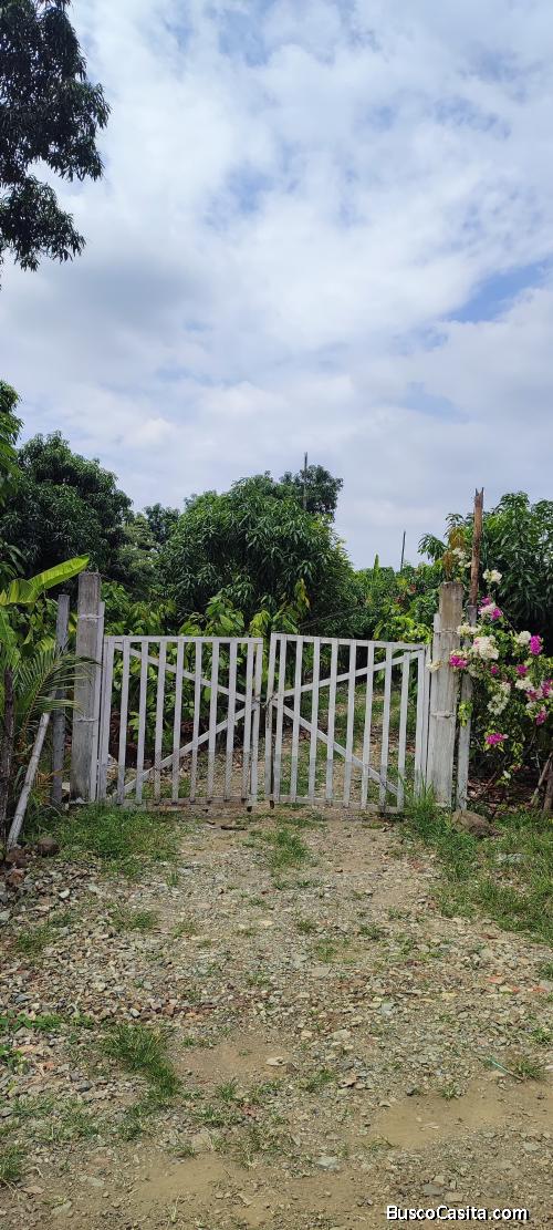 VENTA TERRENO PRODUCTIVO + CASA DE CAMPO
