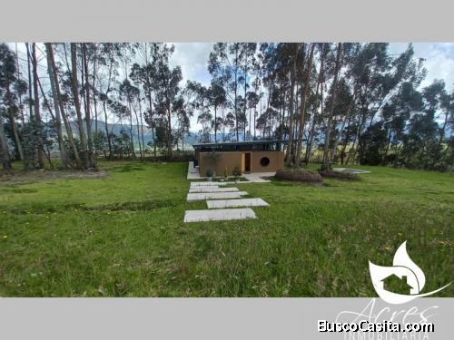 EN VENTA HERMOSA QUINTA EN OLMEDO - SAN PABLO URCO 