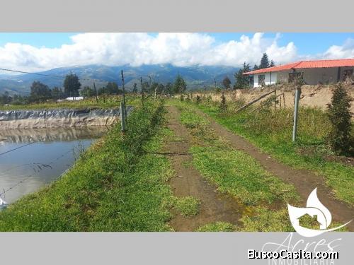 EN VENTA BONITA QUINTA EN CUBINCHE - PEDRO MONCAYO 