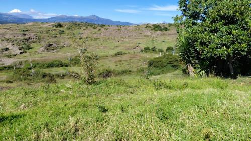 LA MERCED, sector , vendo 18000m2 de terreno, con construcción, tiene luz y agua