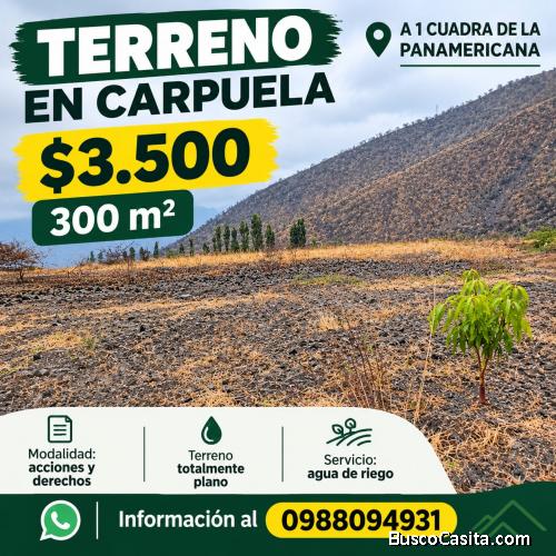 Terreno de 300m2 en Carpuela 