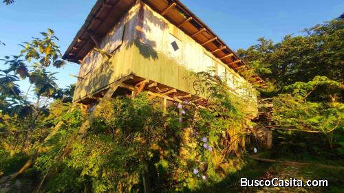 FINCA COMUNITARIA AUTOSOSTENIBLE EN LA AMAZONÍA ECUATORIANA
