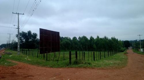 Terreno de 4 hectáreas en colonia Thompson - Ypané
