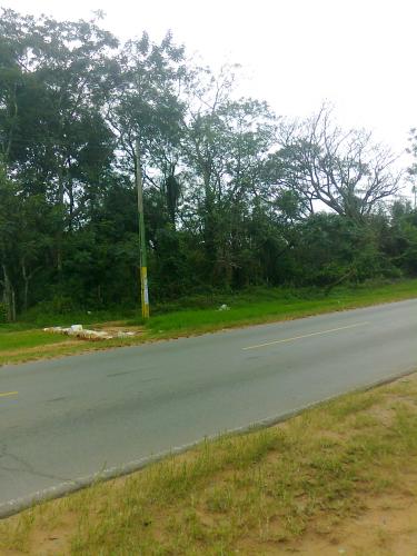 Terreno de 4 hectáreas sobre ruta a Ypané