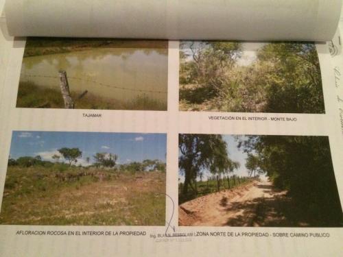 Terreno de 5 hectáreas en la Ciudad de Altos