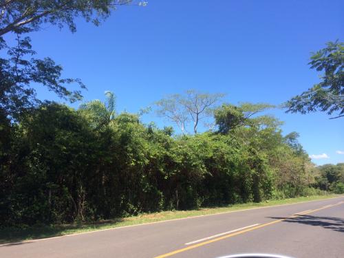 Terreno de 2 ½ hectáreas en la zona de Nueva Colombia