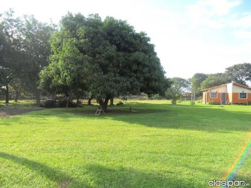 Terreno de 3 hectáreas cerca del Abasto NORTE