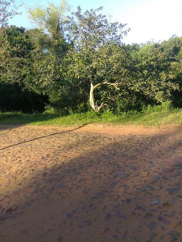 Terreno de 2 ½ hectáreas a 1 km. de Avda. Acceso Sur, Barrio Cañadita