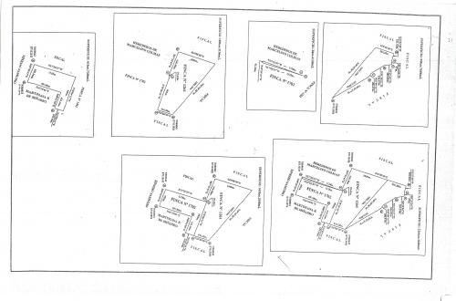 Campo de 160 hectáreas en la zona de Caazapá