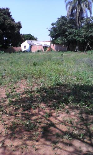  Terreno con casa en Tarumandy - Luque