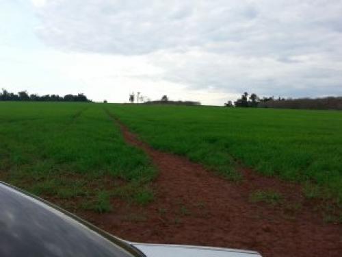  Terreno de 88 hectáreas en Edelira - Itapúa