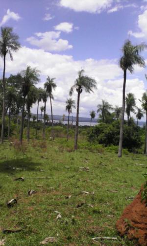 Terreno de 1 ½ hectáreas en Caacupe-mí - Areguá