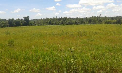 EN VENTA INMUEBLE DE HECTAREA Y MEDIA EN JUAN E. O´LEARY