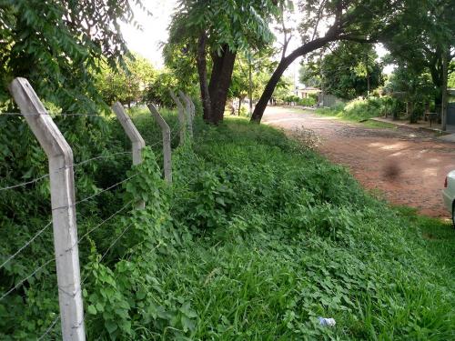 Vendo 3 Terreno juntos de 12x30 metros en zona de Lambaré