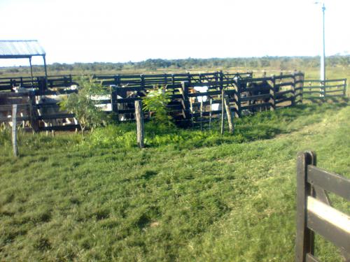 ¡VENDO ESTABLECIMIENTO GANADERO DE 80 HTAS. A 8 km. DE LA CIUDAD DE SANTANI!!!