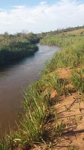  VENDO GRANJA DE 11 HTAS. C/ ARROYO, A 1000 M. DE RUTA ASFALTADA-ZONA YRYBUCUA!!!