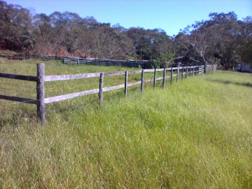 VENDO GRANJA DE 26 HTAS....S/ RUTA ASFALTADA!!!!.- ZONA SANTANI..