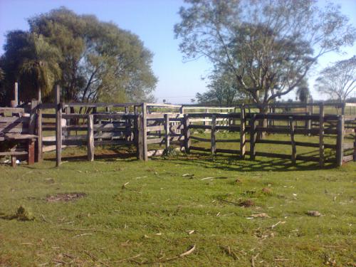 !!!VENDO GRANJA DE 22.5 HTAS. - ZONA SANTANI!!! 225 M. S/ RUTA ASFALTADA...