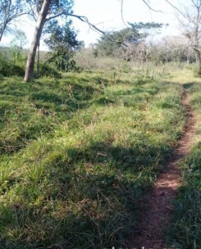 Vendo Campo de 12 has en Yaguarón