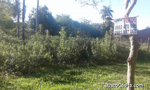 VENDO TERRENO EN LA CIUDAD DE LIMPIO 