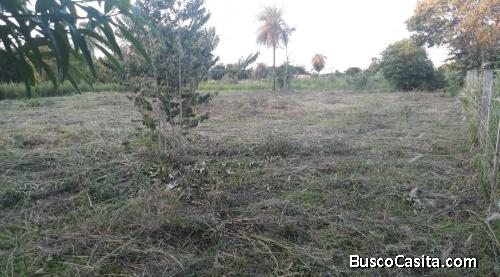 4 TERRENOS  BIEN PLANO y firme de 12m×30m, 1.440m². En Ciudad del Este Paraguay