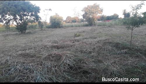 4 TERRENOS  BIEN PLANO y firme de 12m×30m, 1.440m². En Ciudad del Este Paraguay. USD 57.000